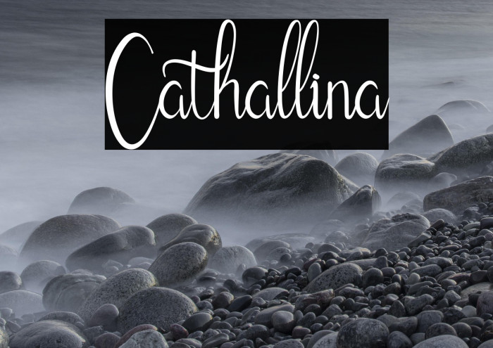 Cathallina Example 1