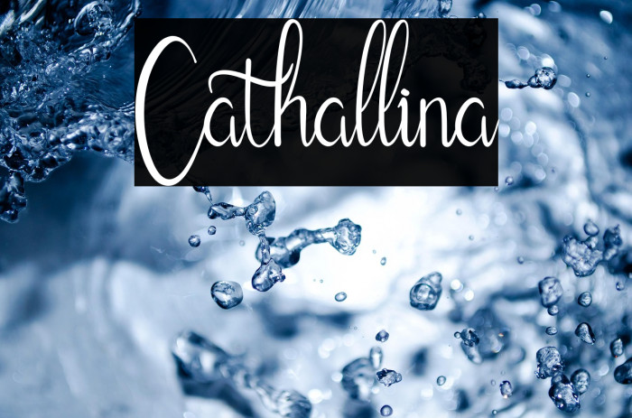 Cathallina Example 2