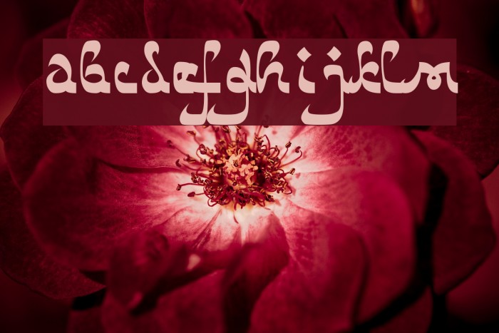 Catharsis Bedouin Example 1