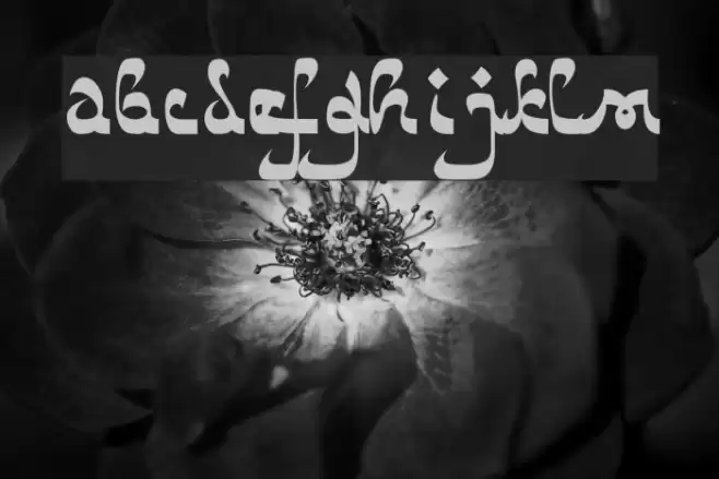 Catharsis Bedouin Font examples