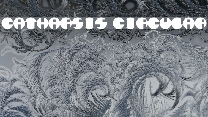 Catharsis Circular Font examples