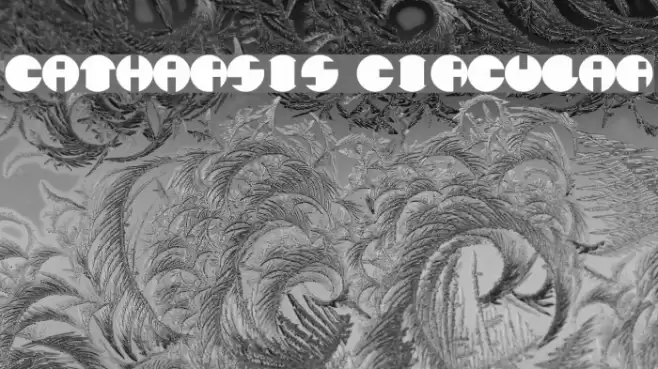 Catharsis Circular Font examples
