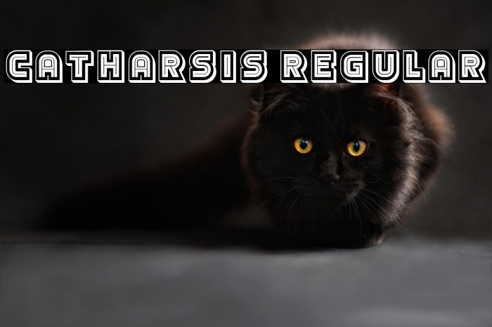 Catharsis Regular Example 1