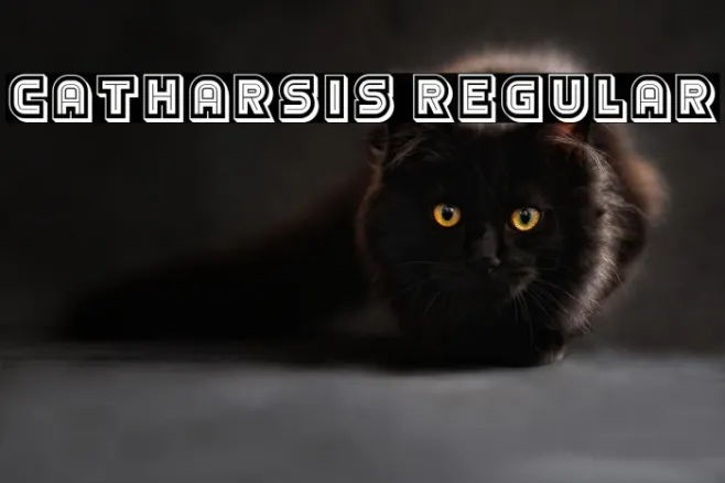 Catharsis Regular Example 1