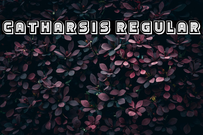 Catharsis Regular Example 2