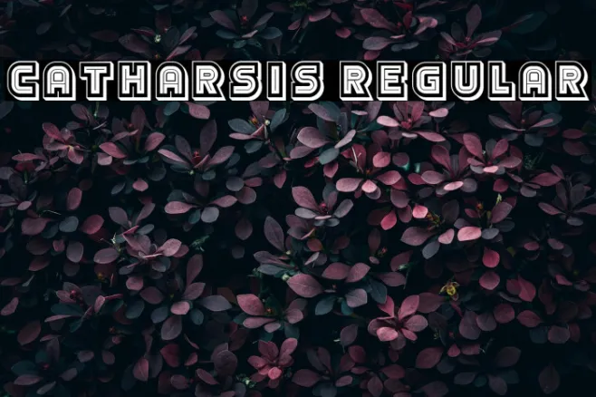 Catharsis Regular Example 2