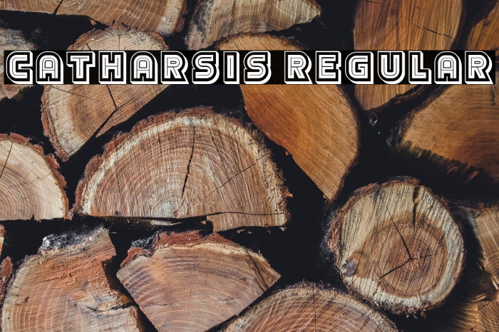 Catharsis Regular Example 3