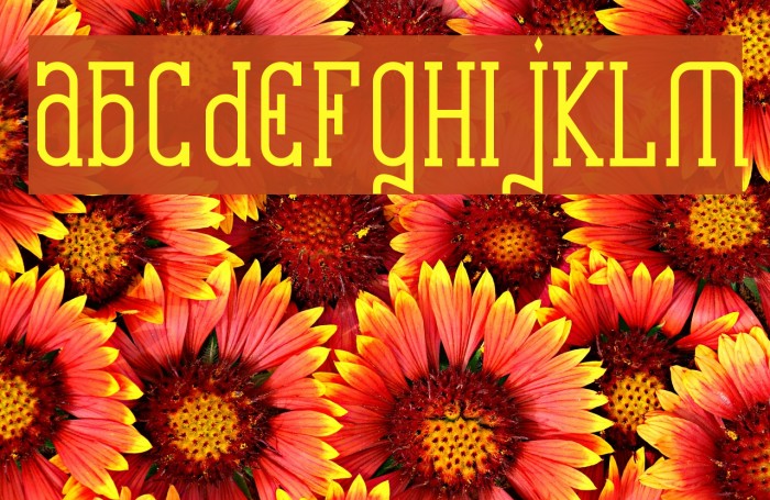 Catharsis Requiem Bold Font examples