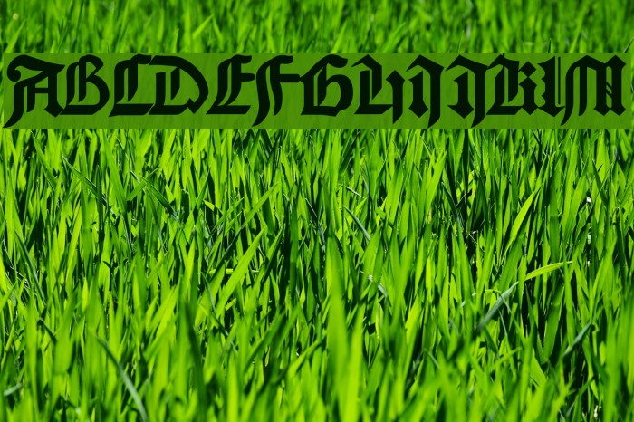 Cathedral Normal Font examples