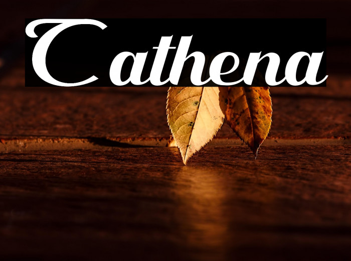 Cathena Example 2