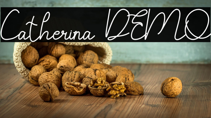 Catherina DEMO Example 3