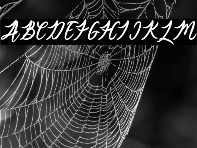 Catherine Font examples