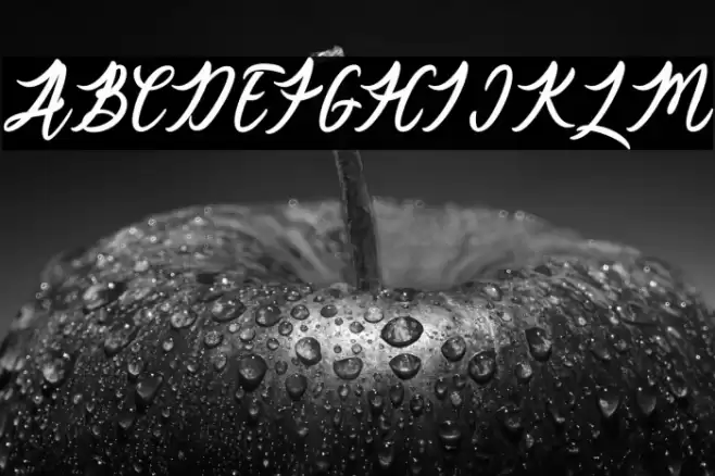 Catherine Font examples