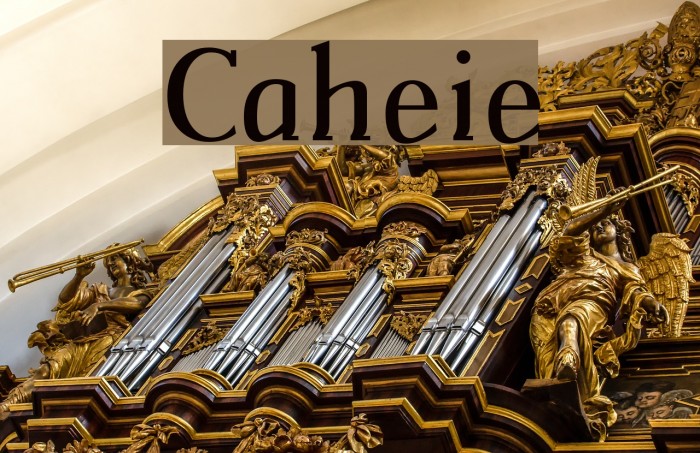 Catherine Font examples