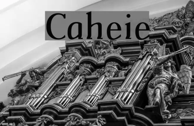 Catherine Fuentes examples