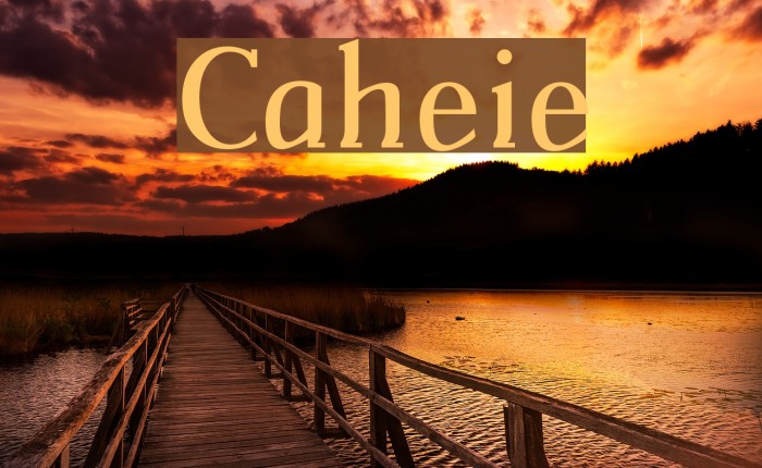Catherine Font examples