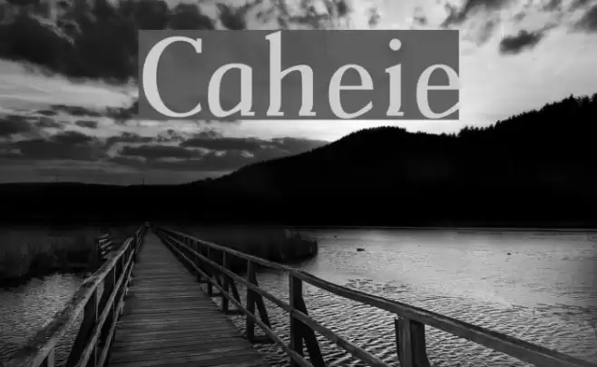 Catherine Fuentes examples