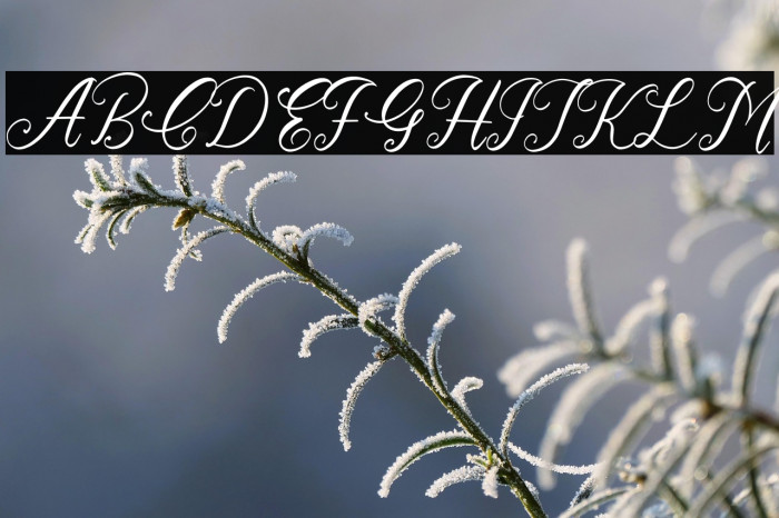 Cathrina Belisha Italic Example 3