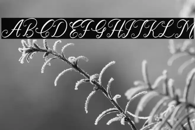 Cathrina Belisha Italic Font examples