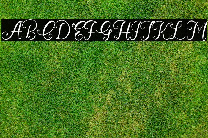 Cathrina Belisha Example 1