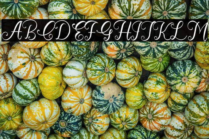 Cathrina Belisha Example 2