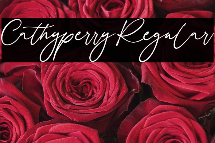 Cathyperry Regular Example 1