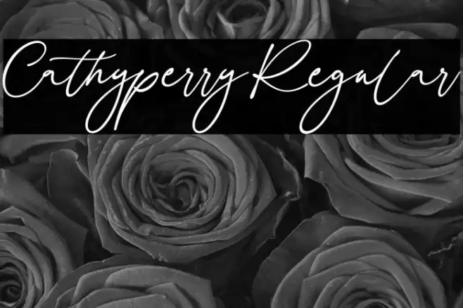 Cathyperry Regular Caratteri examples