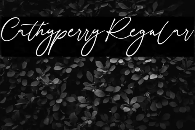 Cathyperry Regular Caratteri examples