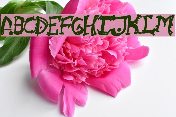 Cathzulu Font examples
