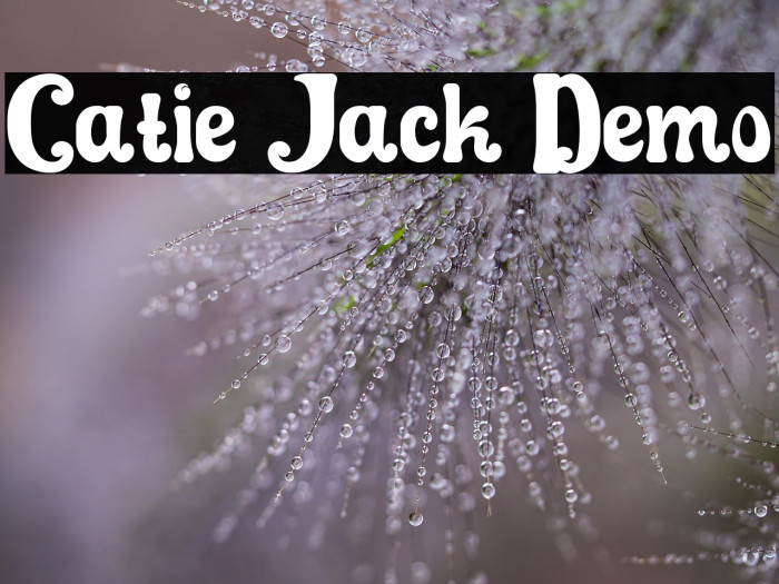 Catie Jack Demo Example 1
