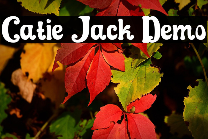 Catie Jack Demo Example 2