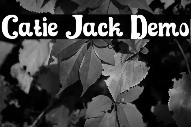 Catie Jack Demo फ़ॉन्ट examples