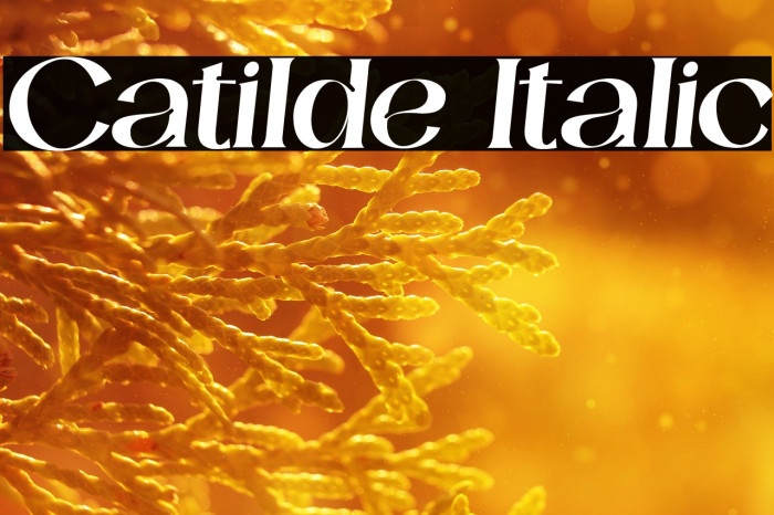 Catilde Italic Example 1