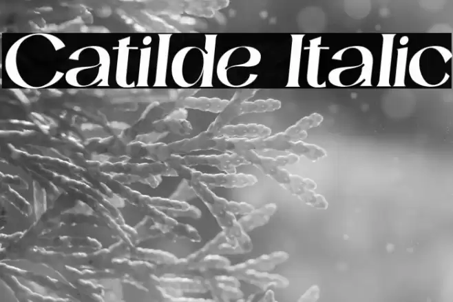 Catilde Italic Font examples