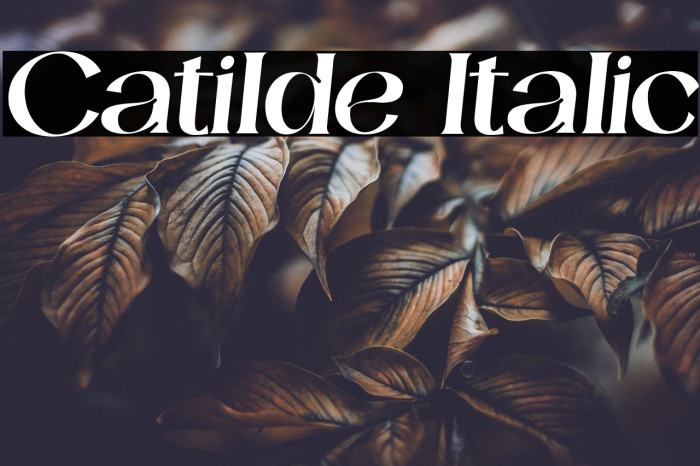 Catilde Italic Example 2
