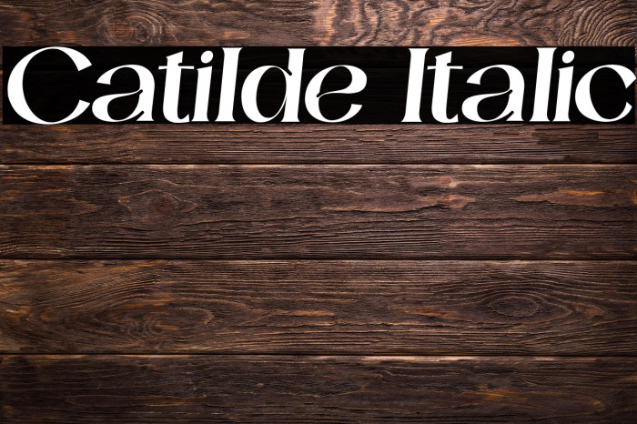 Catilde Italic Example 3