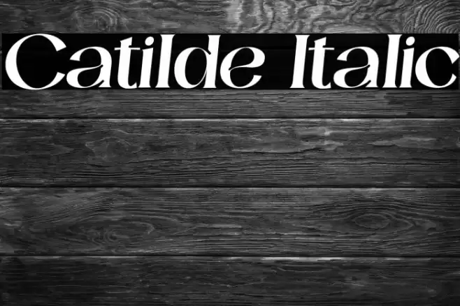 Catilde Italic Font examples