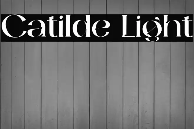 Catilde Light Font examples
