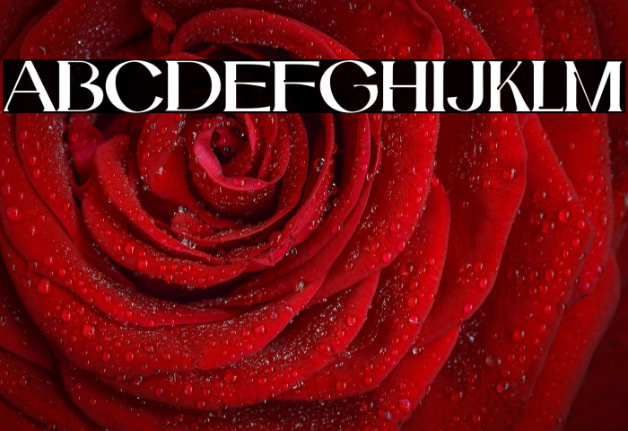 Catilde-Regular Example 1