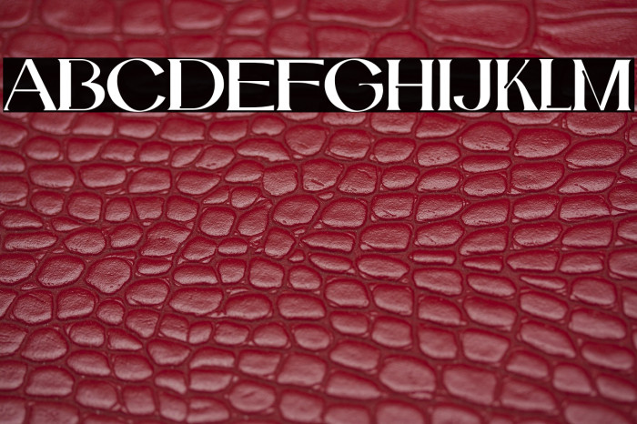 Catilde-Regular Example 3