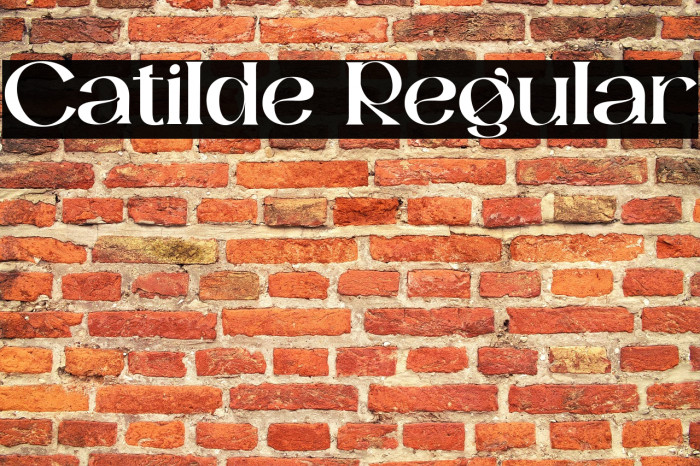 Catilde Regular Example 2