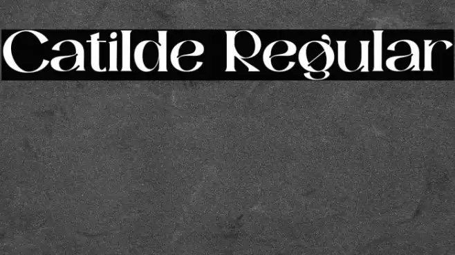 Catilde Regular Font examples