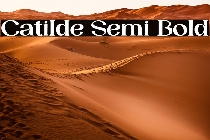 Catilde Semi Bold Example 2