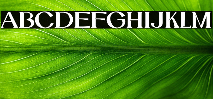 Catilde-SemiBold Example 1