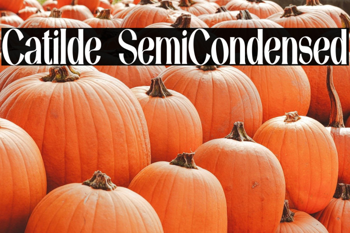 Catilde SemiCondensed Example 1