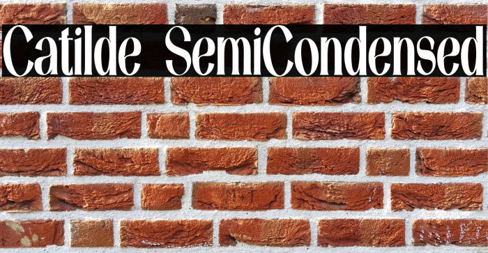 Catilde SemiCondensed Example 2