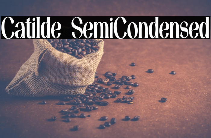 Catilde SemiCondensed Example 3