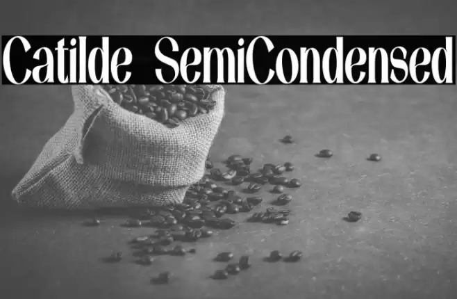 Catilde SemiCondensed Font examples