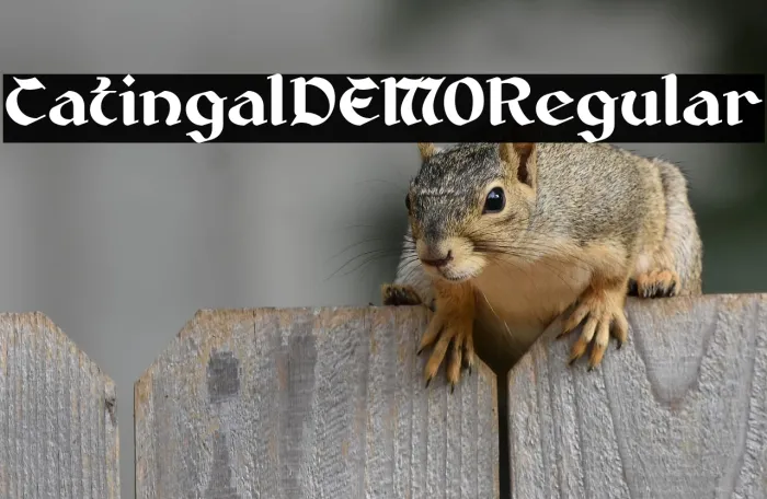 Catingal DEMO Regular Example 1