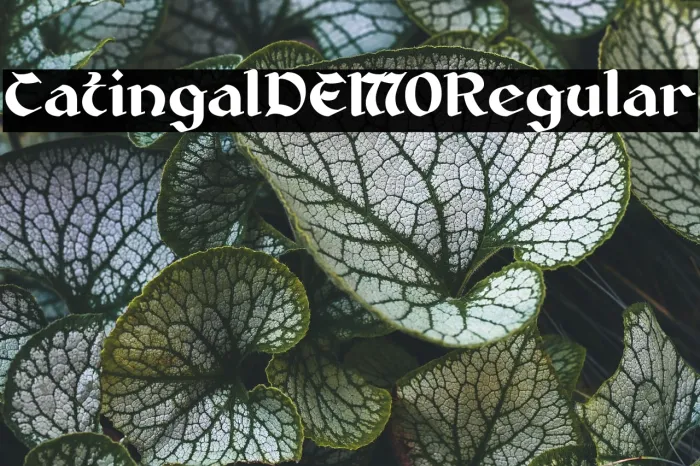 Catingal DEMO Regular Example 2